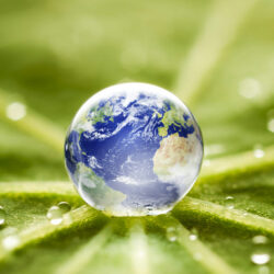 A tiny globe resembling Earth is placed on a green leaf, surrounded by water droplets.