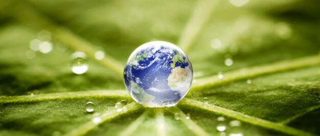 A tiny globe resembling Earth is placed on a green leaf, surrounded by water droplets.