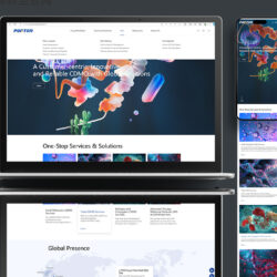 A laptop and smartphone display the redesigned website of Porton Pharma Solutions, featuring scientific visuals, information about CDMO services, and a global presence map.