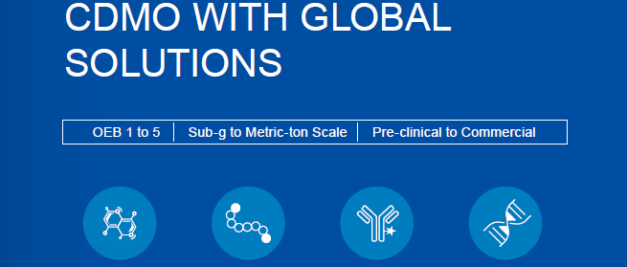 In Porton Pharma Solution’s blue and white 2025 brochure, discover their CDMO global solutions with icons for small molecules, biologics, tides, and advanced therapy medicinal products.